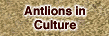 Antlions in Culture