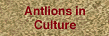 Antlions in Culture