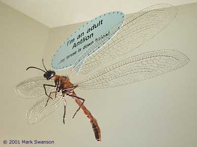 Antlion Adult sculpture