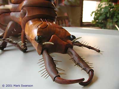 Antlion Larva sculpture, close up