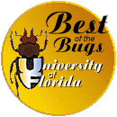 University of Florida Entomology and Nematology - Best of the Bugs - Site Award