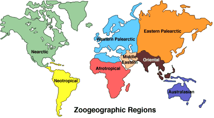 zoogeographic map
